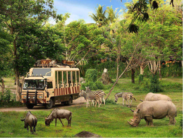 Safari park and zoo in Bali