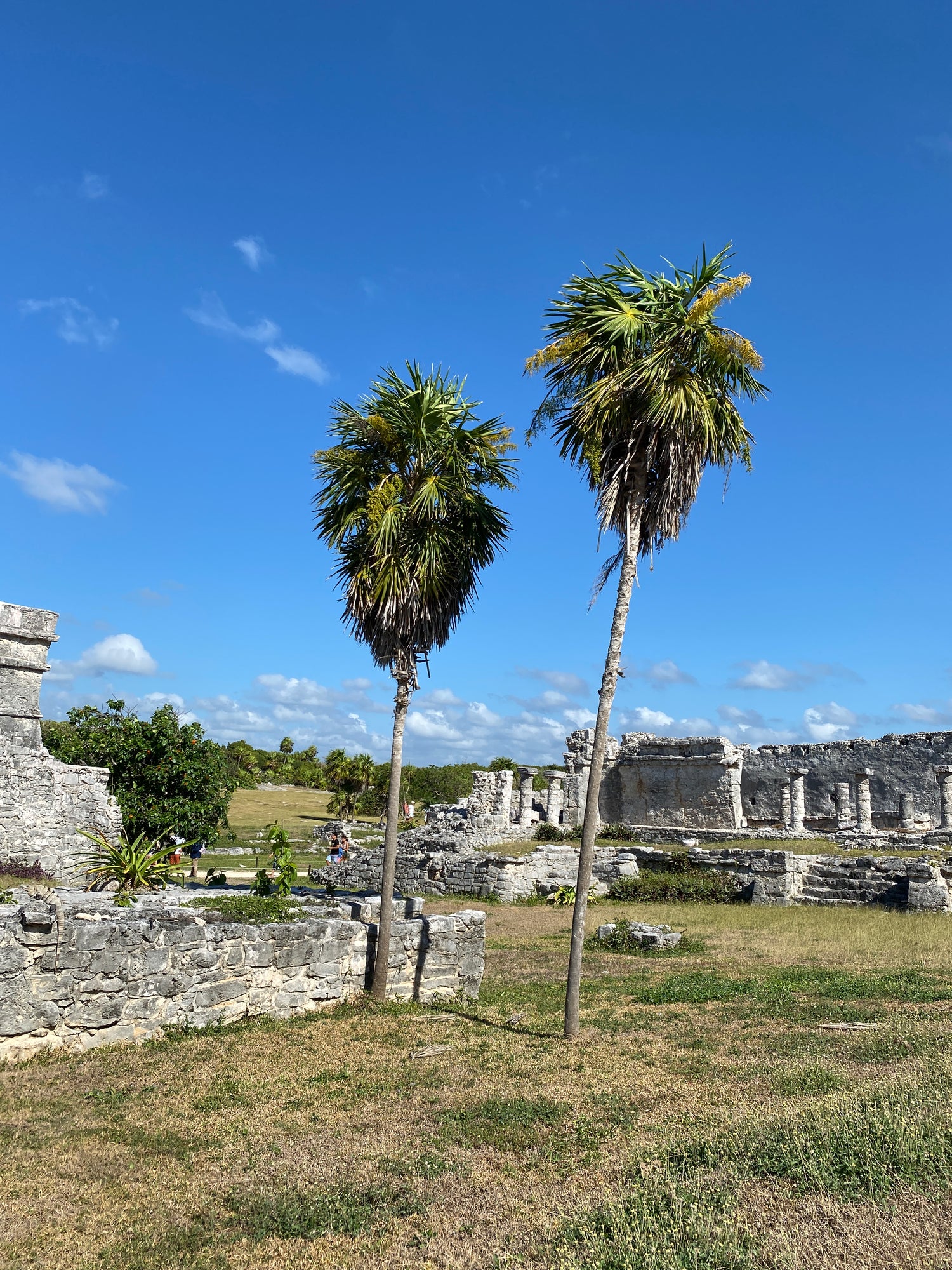 View of Tulum's ruins ancient Mayan civilization next to the beach