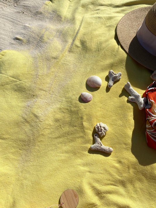 The Ultimate Beach Accessory: Why a Beach Brush is a Must-Have for Your Next Day Trip to the Shore? - My Summer fan