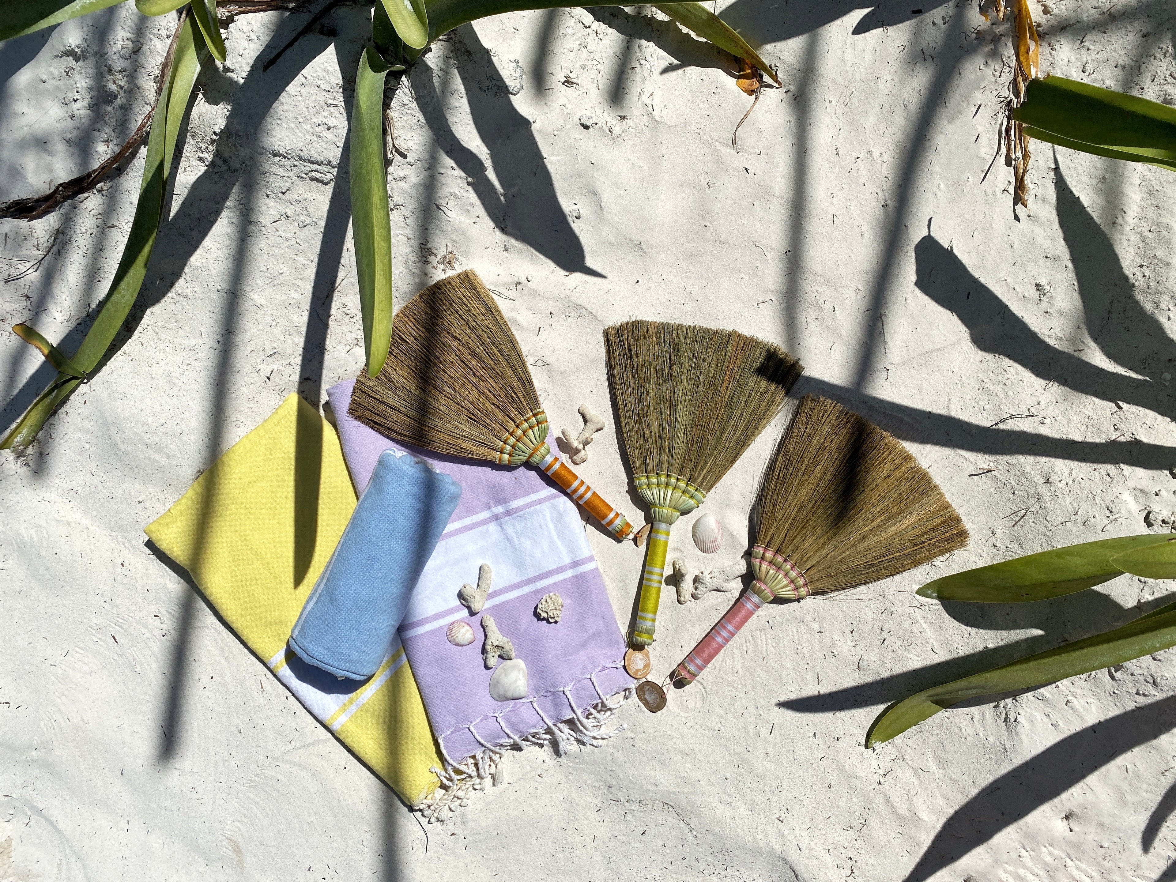 Anti-sand beach brush