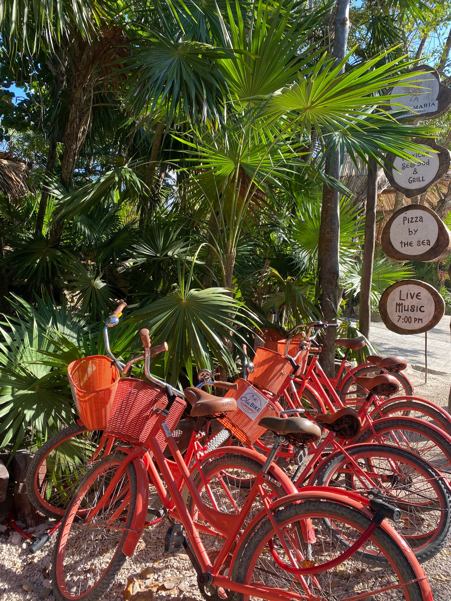 Biking in Tulum to the beach