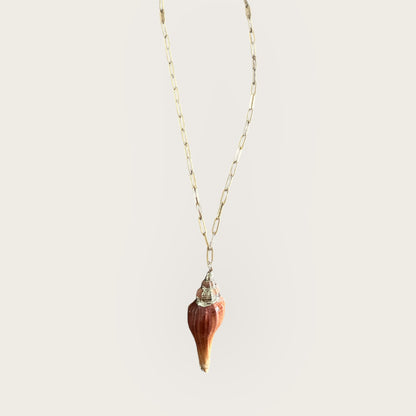 Gold women necklace with a real conch shell