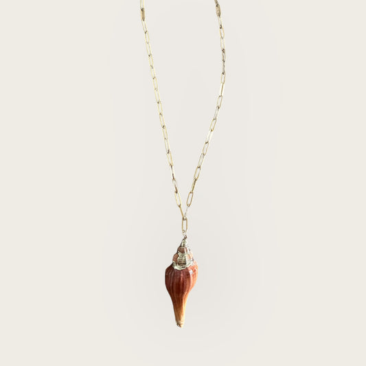 Gold women necklace with a real conch shell