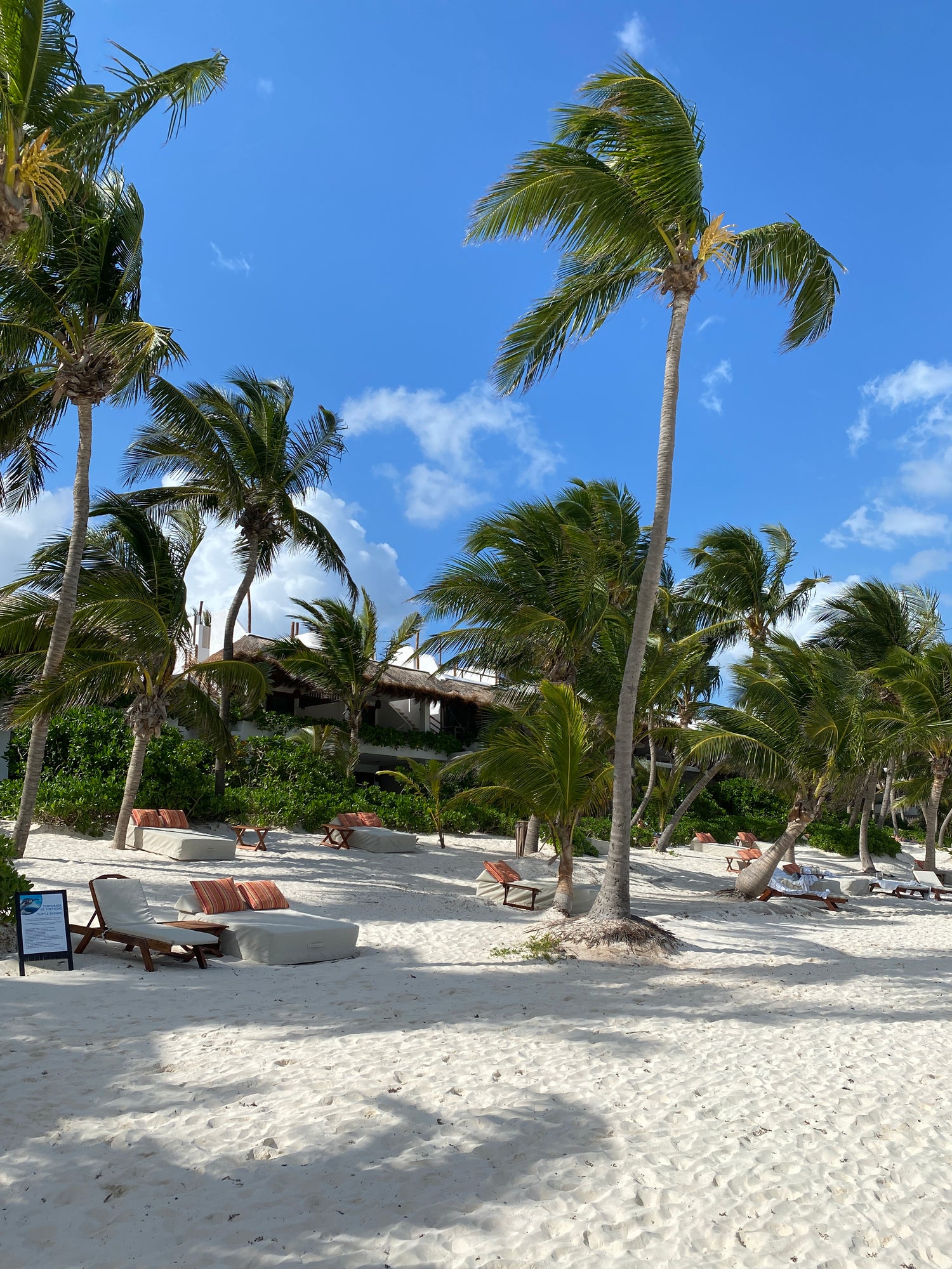 View on Paraiso beach - beach club